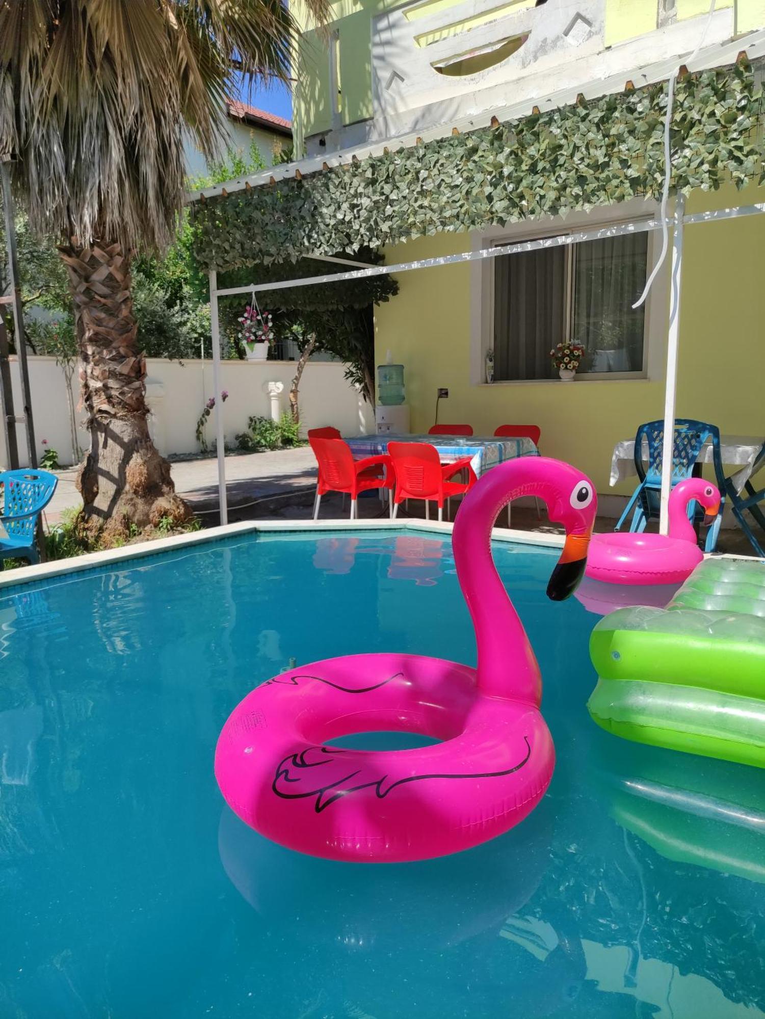 Ilirida-Swimming Pool & Garden View Rooms For Rent Durrës Eksteriør bilde