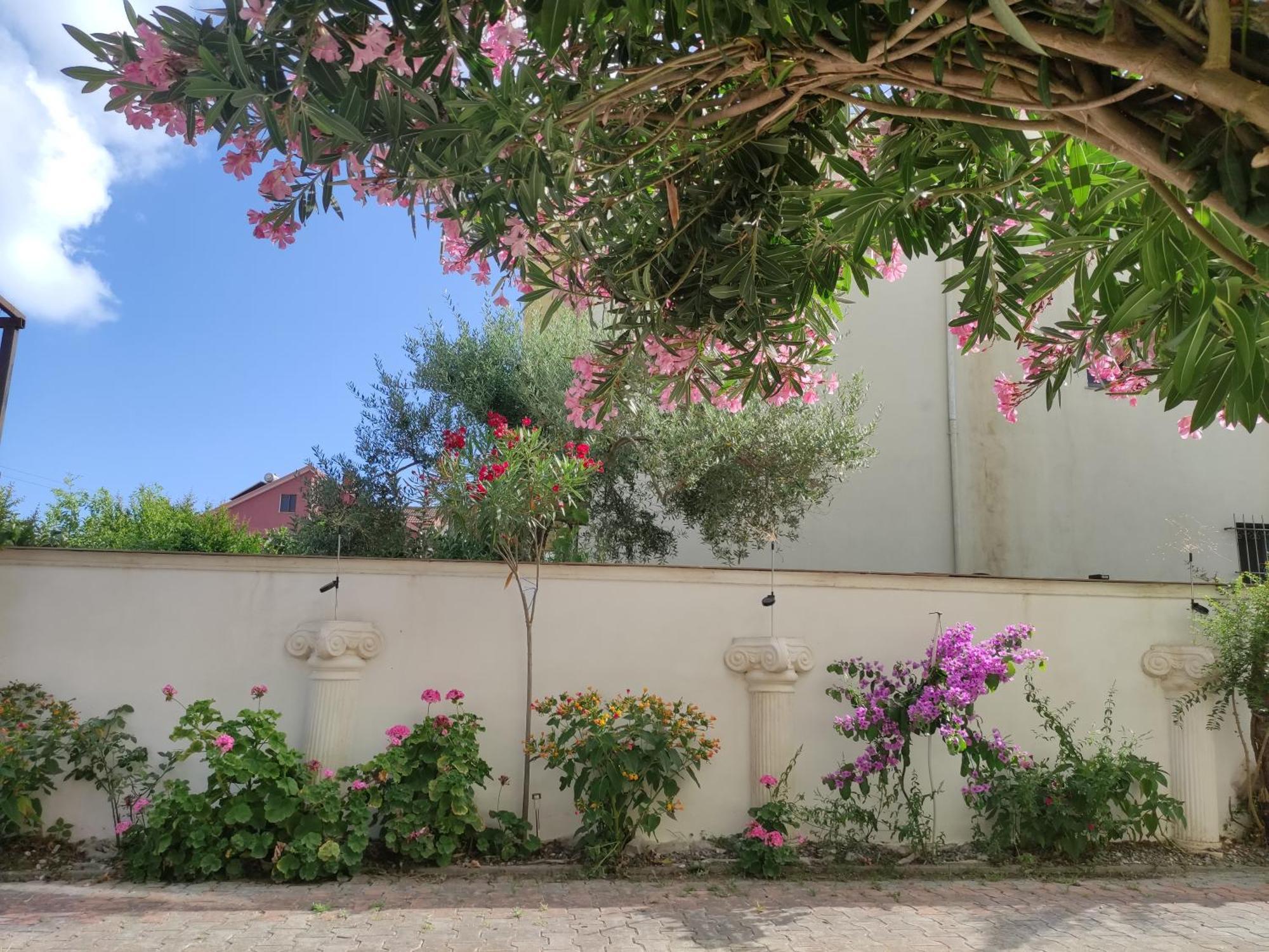 Ilirida-Swimming Pool & Garden View Rooms For Rent Durrës Eksteriør bilde